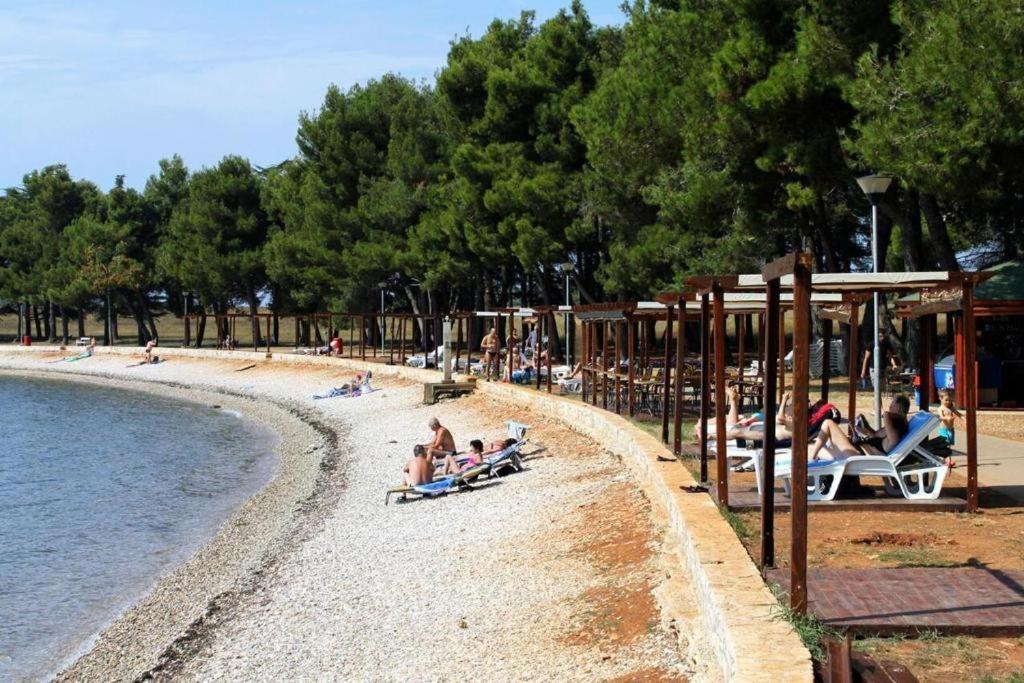 Apartman Oliver Novigrad Istria Dış mekan fotoğraf